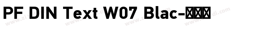 PF DIN Text W07 Blac字体转换